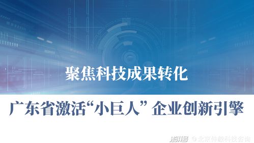 仲毅咨詢 聚焦科技成果轉化，激活廣東中小企業創新引擎